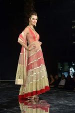 Model walk the ramp for Shane Falguni Show at Amby Valley India Bridal Week day 4 on 26th Sept 2011 (88).JPG